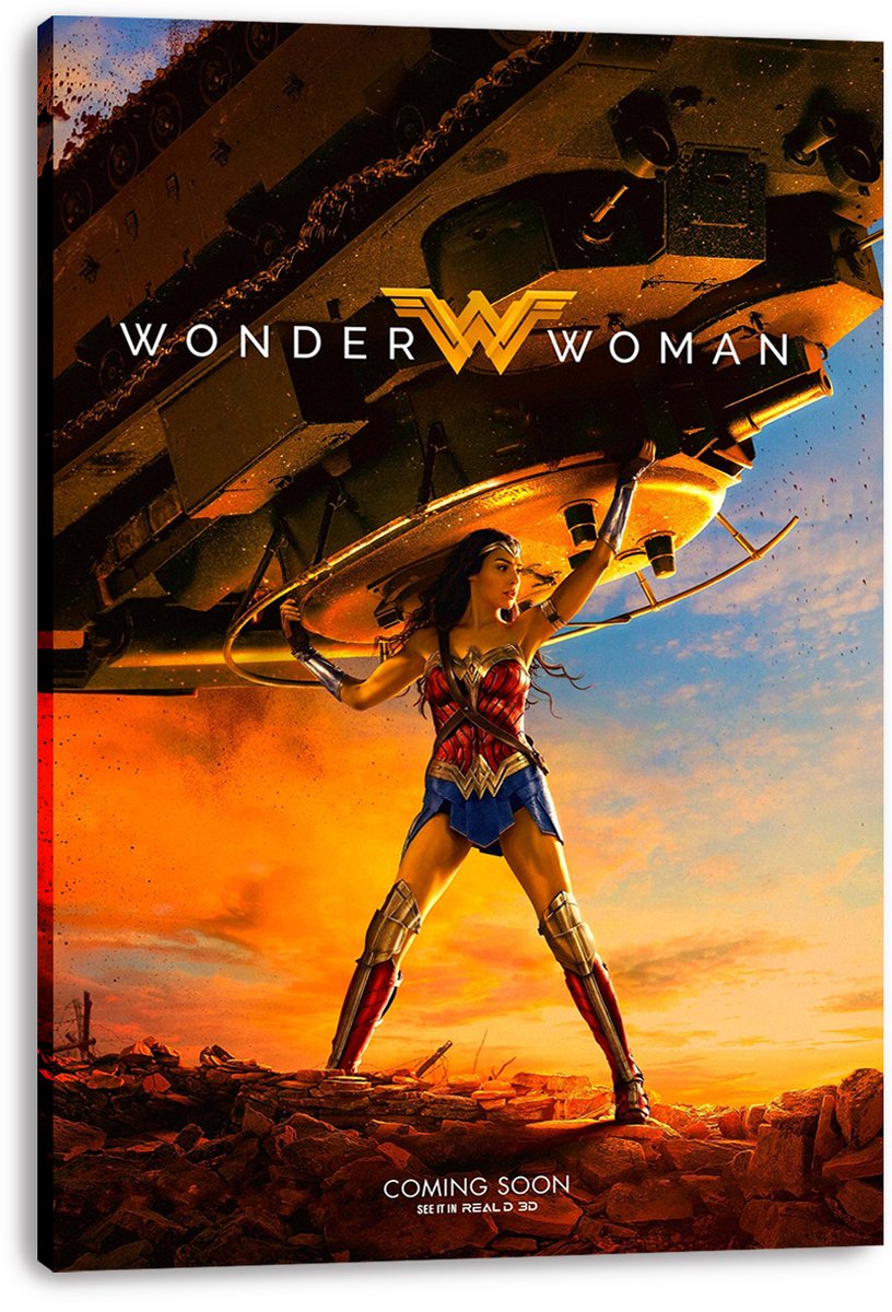 Wonder Woman Decorative Painting (paper and canvas) art poster printing print