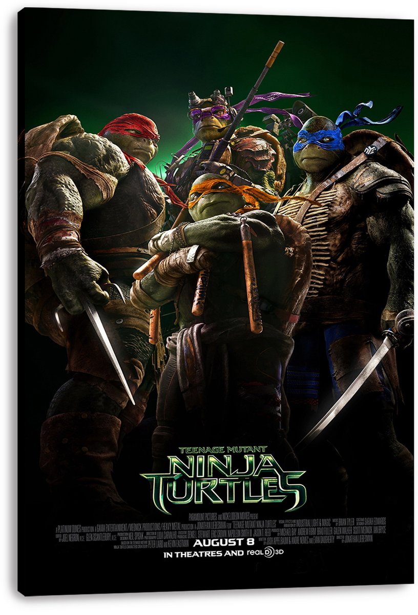 Teenage Mutant Ninja Turtles Decorative Painting (paper and canvas) art poster printing print