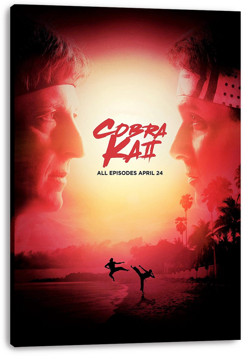 Cobra Kai Johnny Lawrence Daniel LaRusso Decorative Painting (paper and canvas) art poster printing print