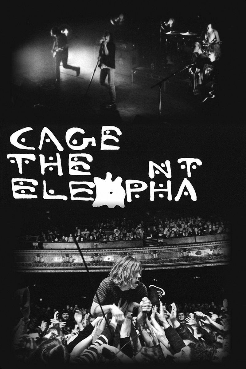 Cage the Elephant Live Concert Decorative Painting (paper and canvas) art poster printing print