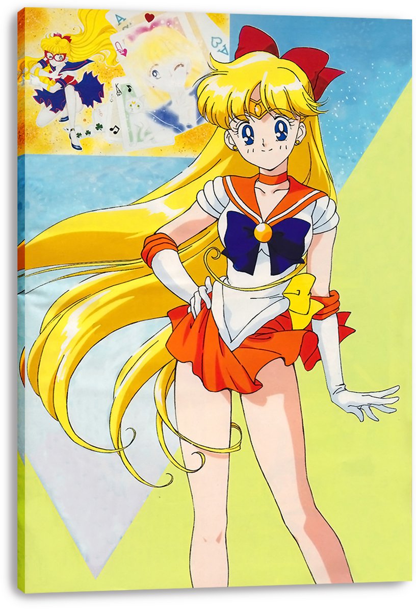 Sailor Venus Decorative Painting (paper and canvas) art poster printing print