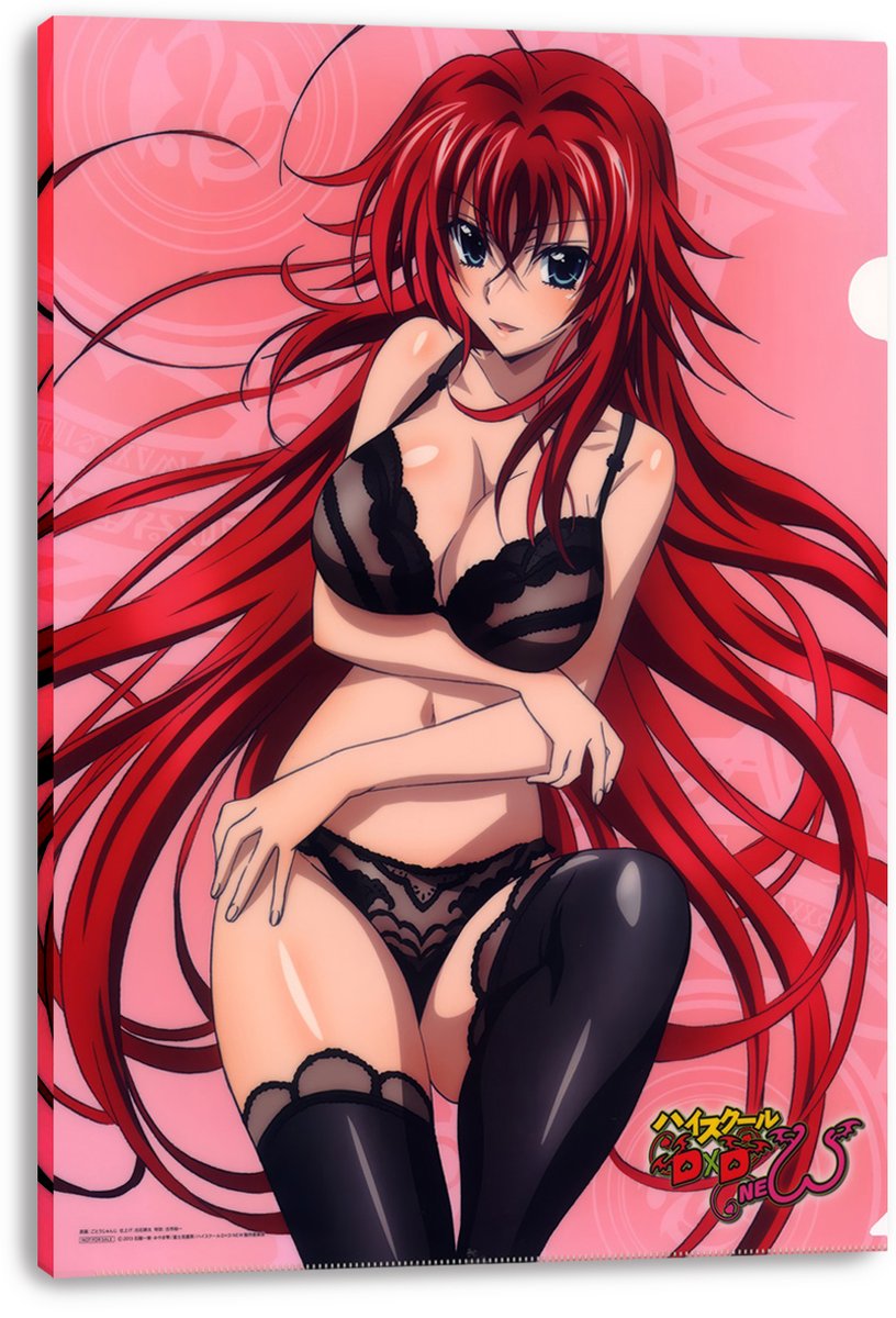 Rias Gremory High School DxD Anime Girl Decorative Painting (paper and canvas) art poster printing print
