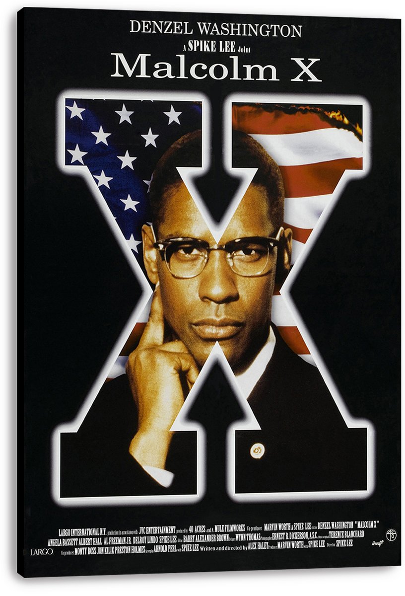 Malcolm X Decorative Painting (paper and canvas) art poster printing print