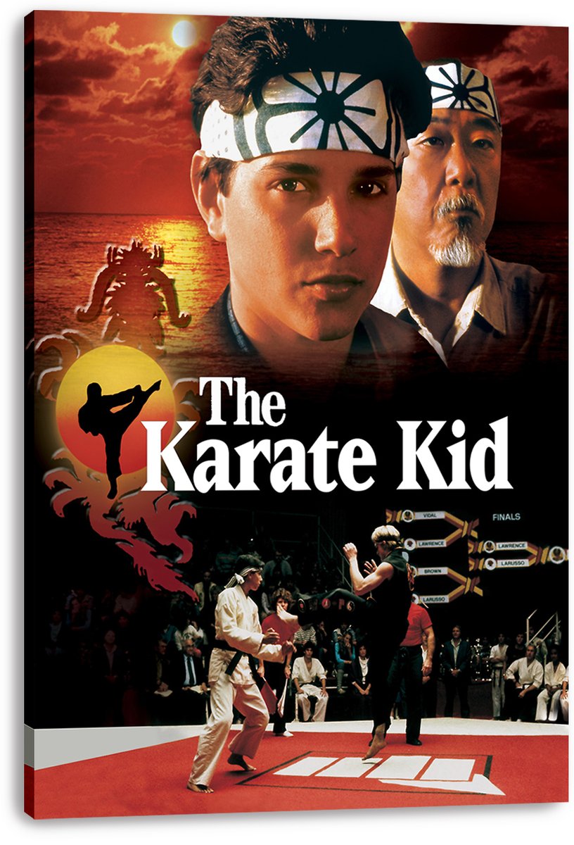 The Karate Kid Decorative Painting (paper and canvas) art poster printing print