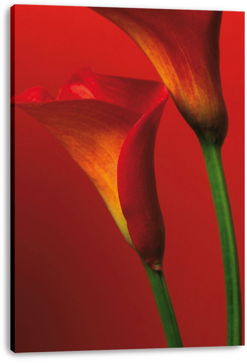Calla Lilies Decorative Painting (paper and canvas) art poster printing print