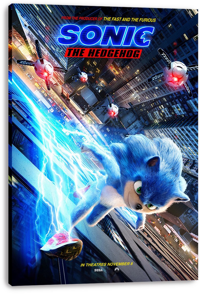 Sonic The Hedgehog Decorative Painting (paper and canvas) art poster printing print