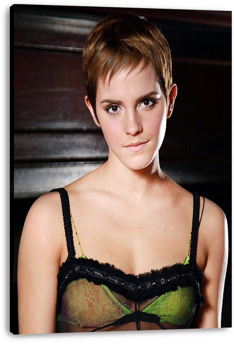 Emma Watson Decorative Painting (paper and canvas) art poster printing print