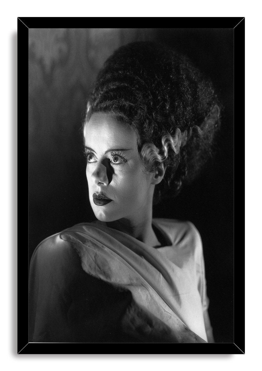 Bride of Frankenstein Decorative Painting (paper and canvas) art poster printing print