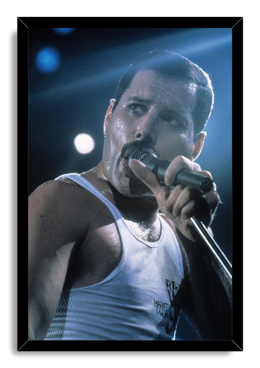 Freddie Mercury Decorative Painting (paper and canvas) art poster printing print