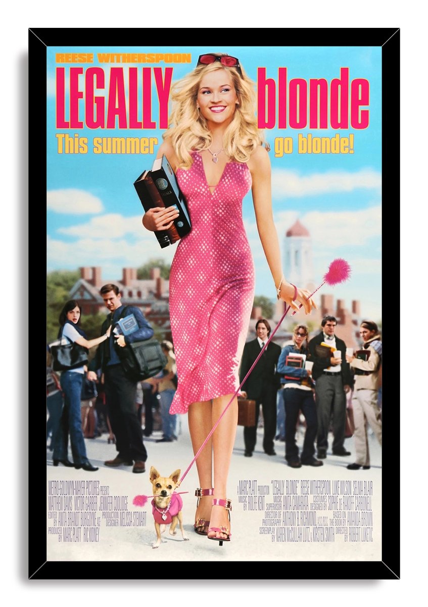 Legally Blonde Movie Decorative Painting (paper and canvas) art poster printing print
