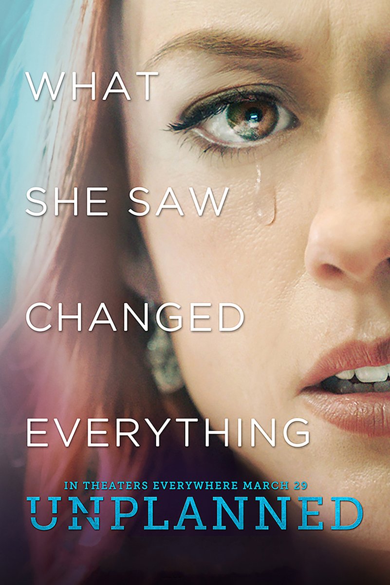 Unplanned Movie Poster Woman Emotional Decorative Painting (paper and canvas) art poster printing print