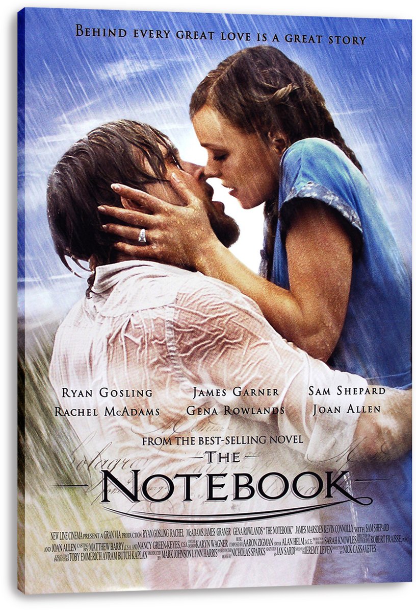 The Notebook Movie Decorative Painting (paper and canvas) art poster printing print