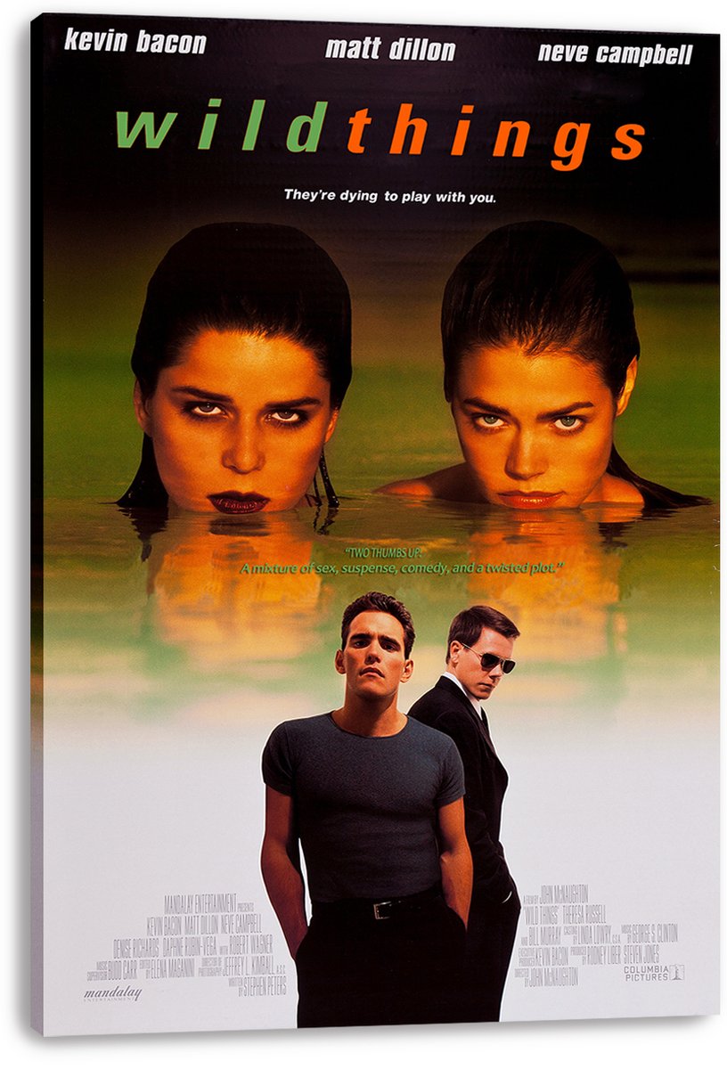 Wild Things Movie Poster Decorative Painting (paper and canvas) art poster printing print