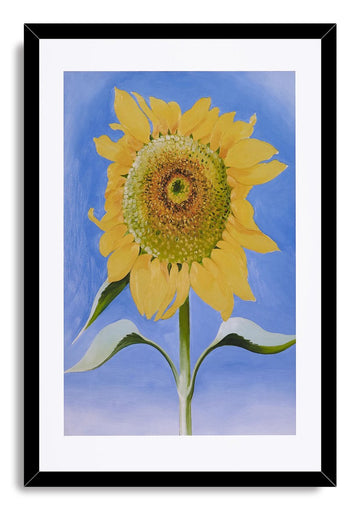 Wooden Framed Canvas