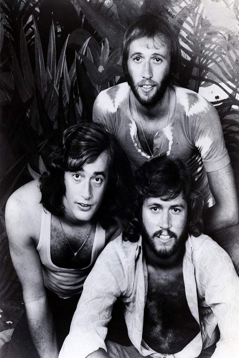 Bee Gees Decorative Painting (paper and canvas) art poster printing print
