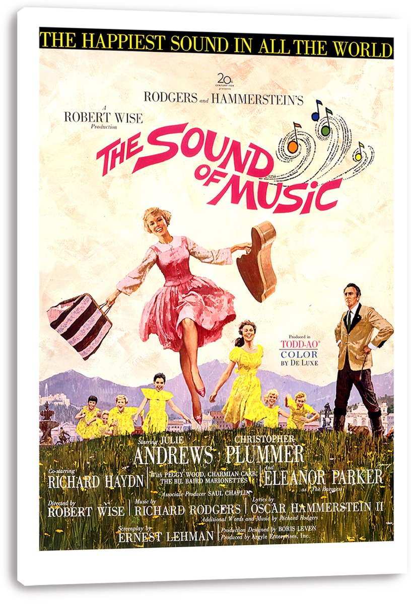 The Sound of Music Movie Poster Decorative Painting (paper and canvas) art poster printing print
