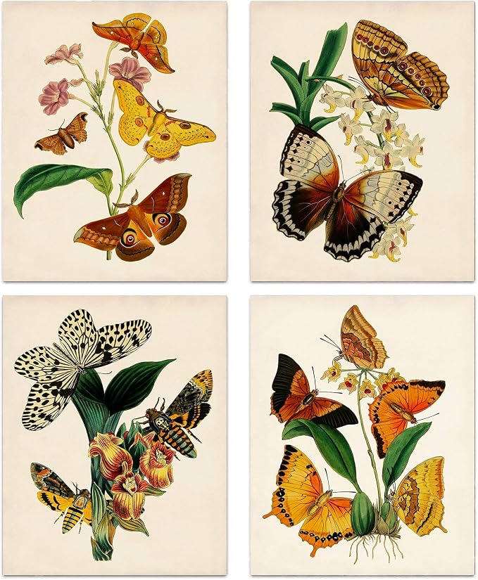 Poster set overview showing four portrait botanical prints with colorful butterflies and moths arranged around flowering plants on ivory backgrounds.
