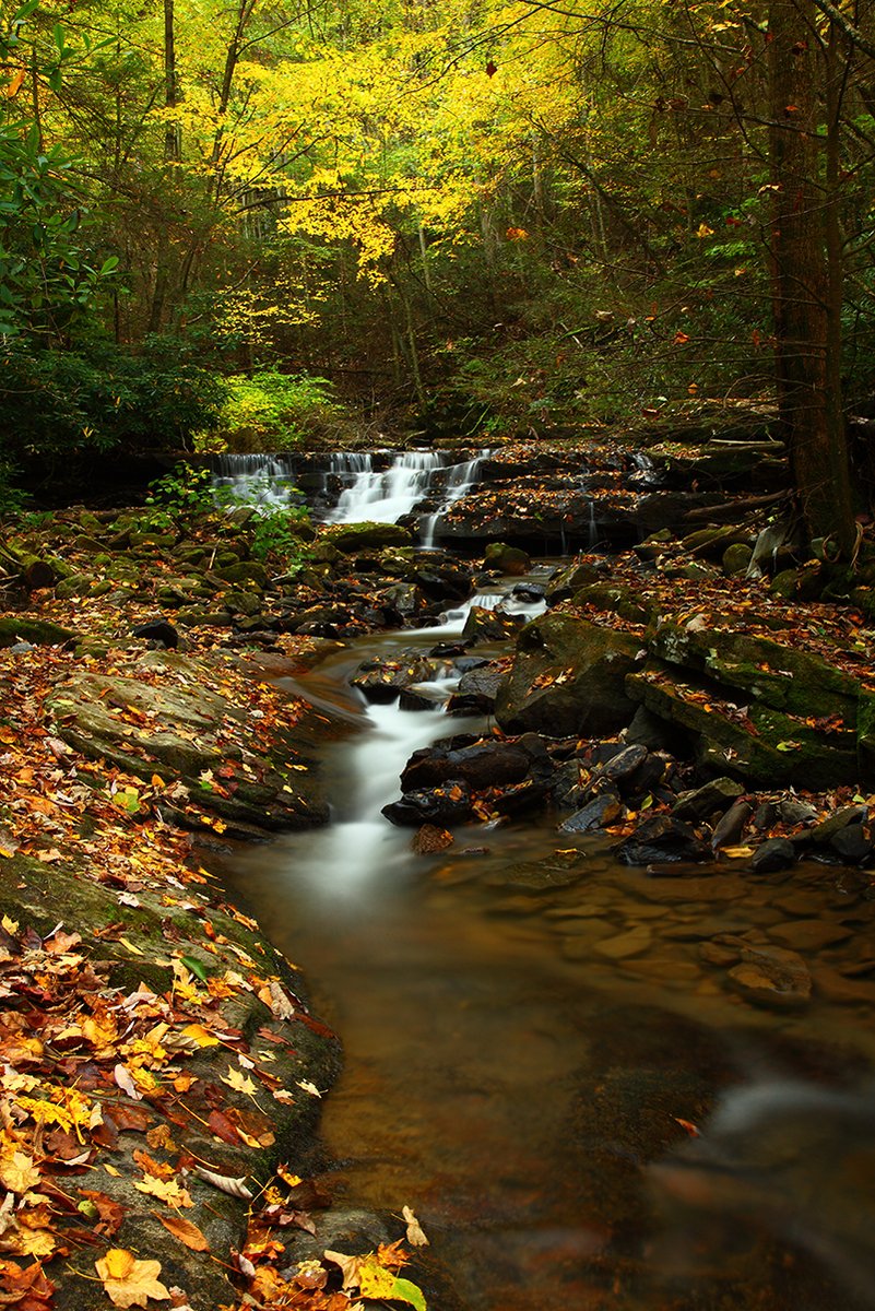 Autumn Forest Waterfall Decorative Painting (paper and canvas) art poster printing print