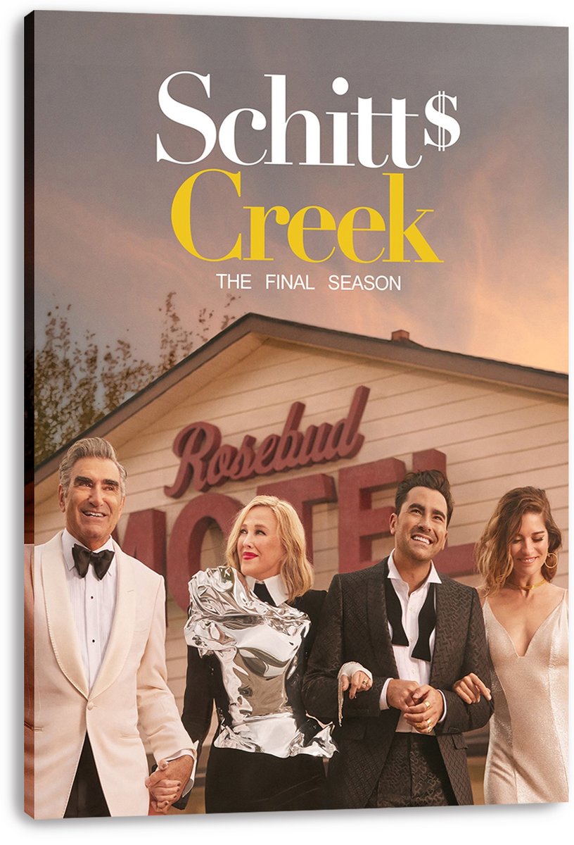 Schitt's Creek Decorative Painting (paper and canvas) art poster printing print