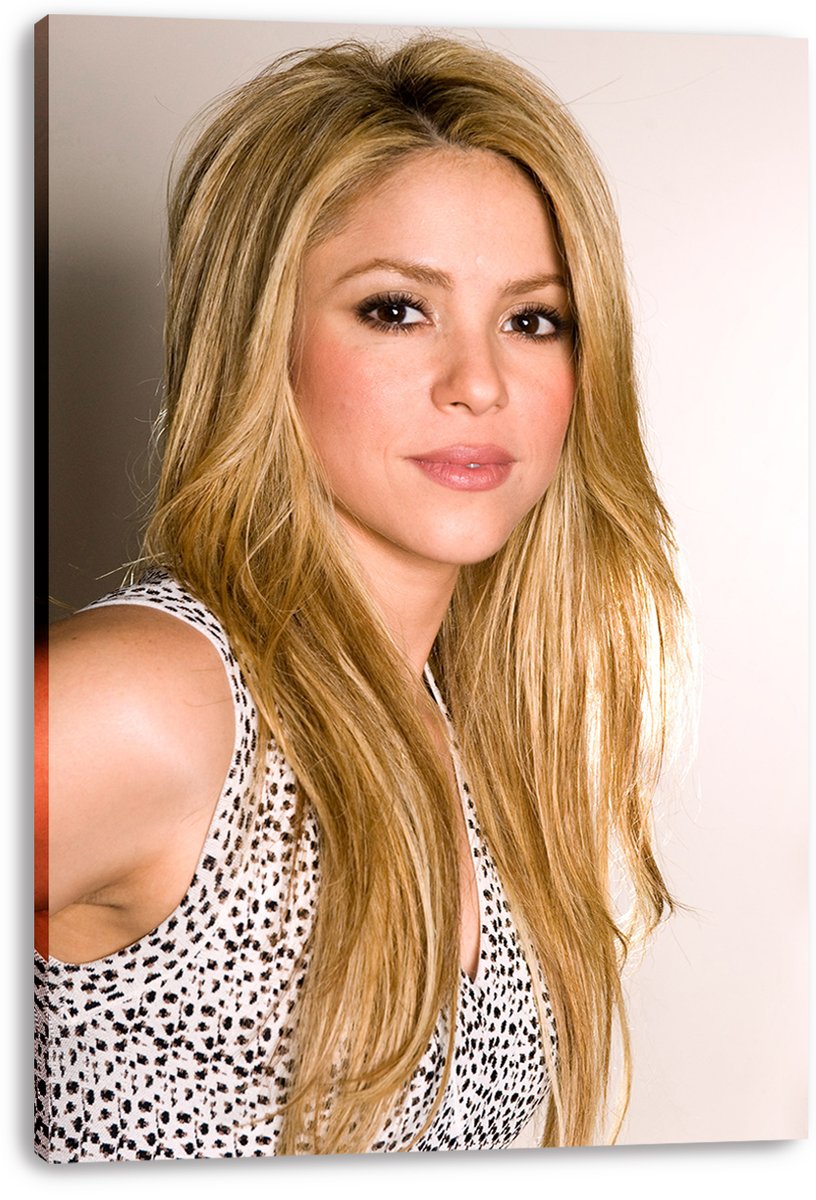 Shakira Decorative Painting (paper and canvas) art poster printing print