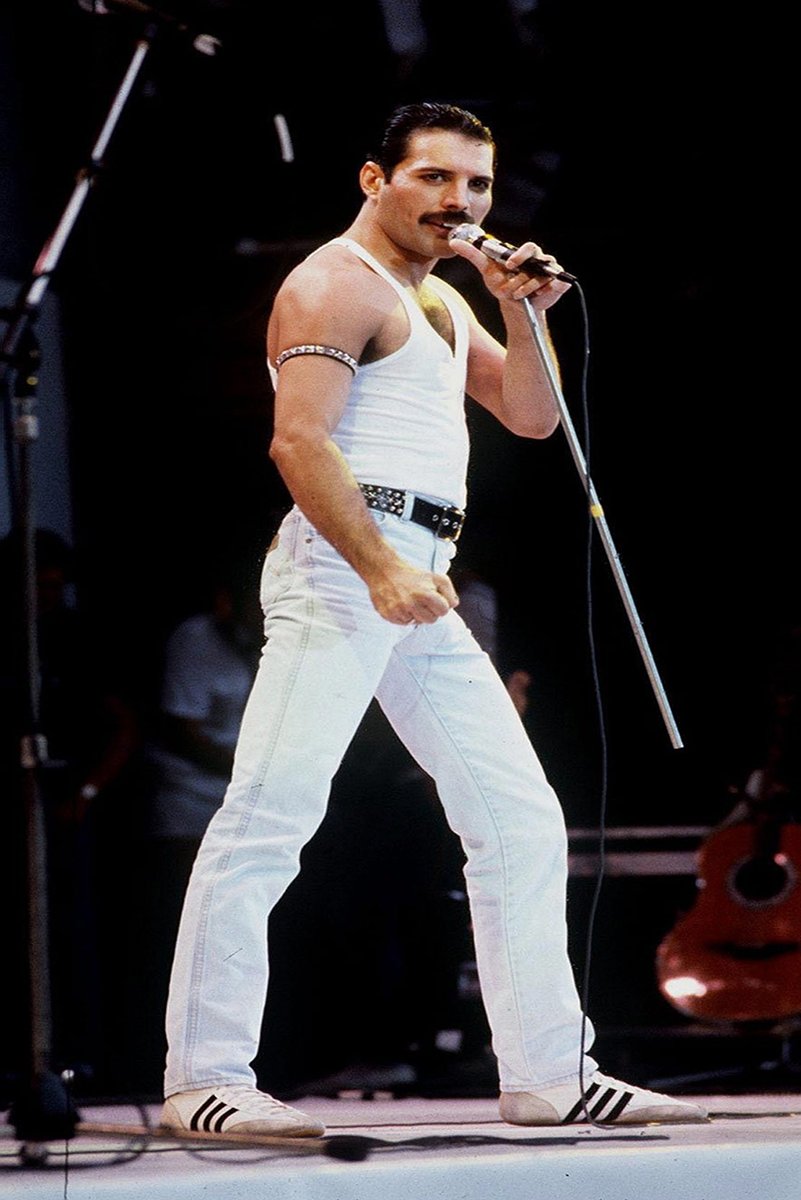 Freddie Mercury Decorative Painting (paper and canvas) art poster printing print
