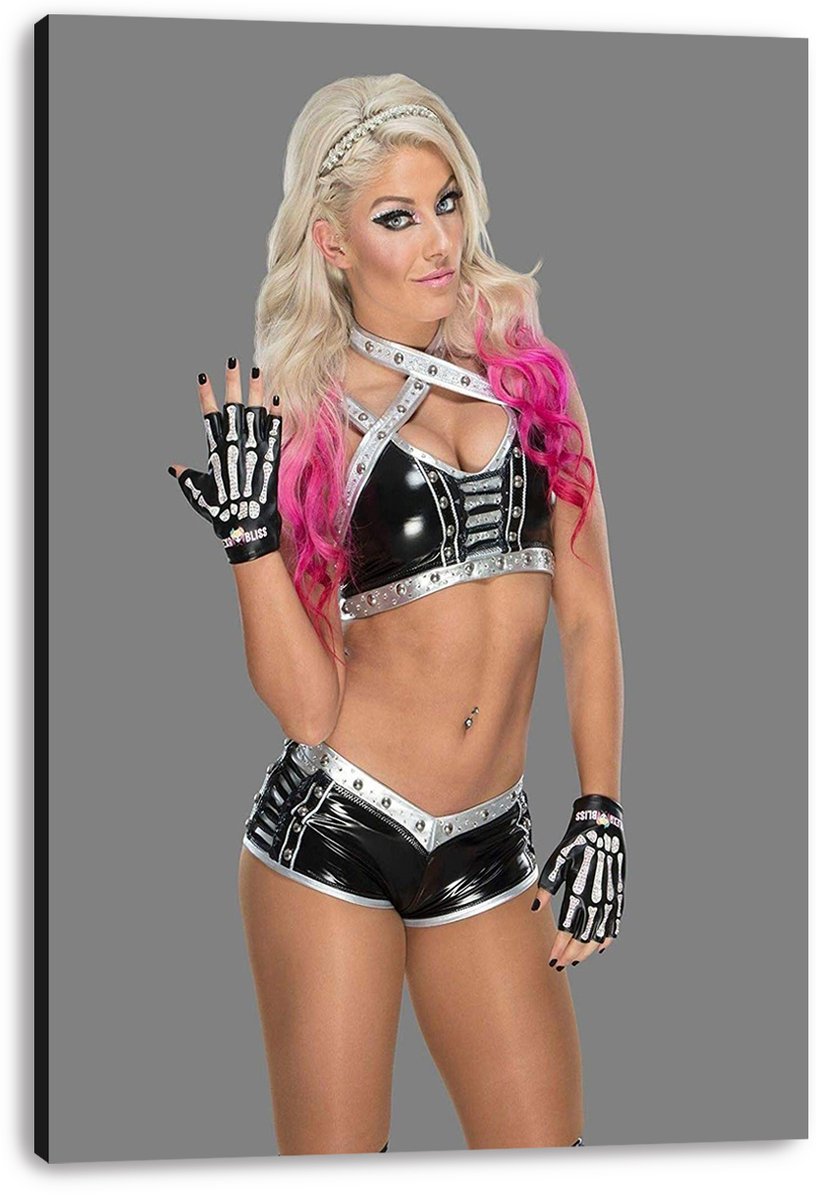 Alexa Bliss Decorative Painting (paper and canvas) art poster printing print