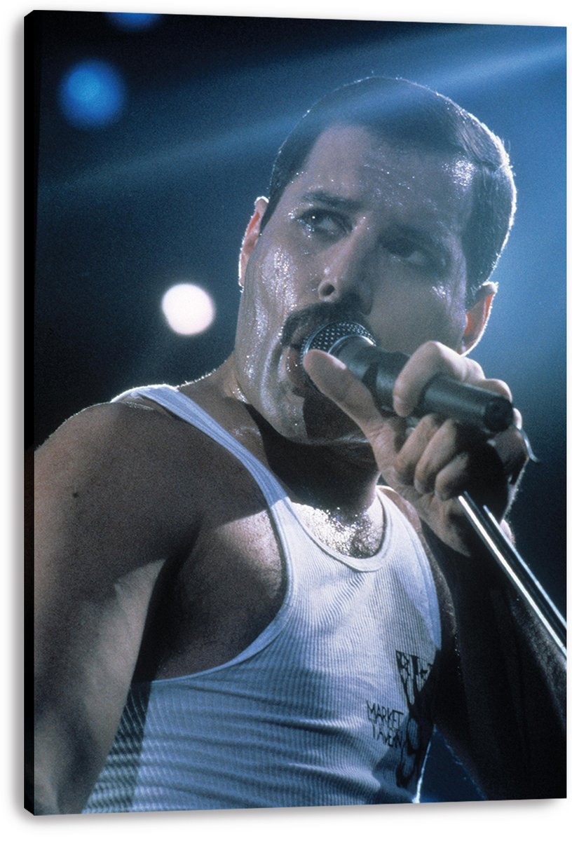 Freddie Mercury Decorative Painting (paper and canvas) art poster printing print