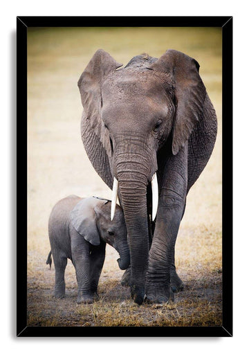 Wooden Framed Canvas