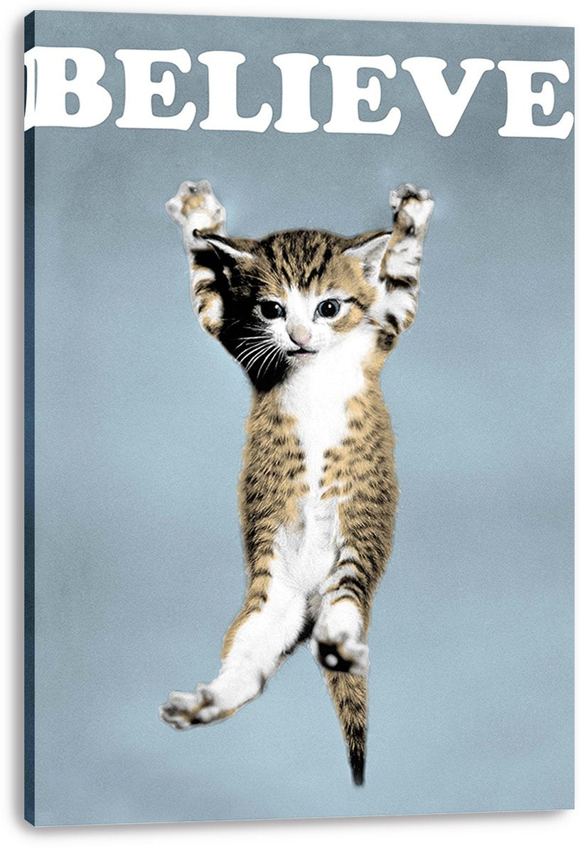 Hanging Kitten BELIEVE Decorative Painting (paper and canvas) art poster printing print