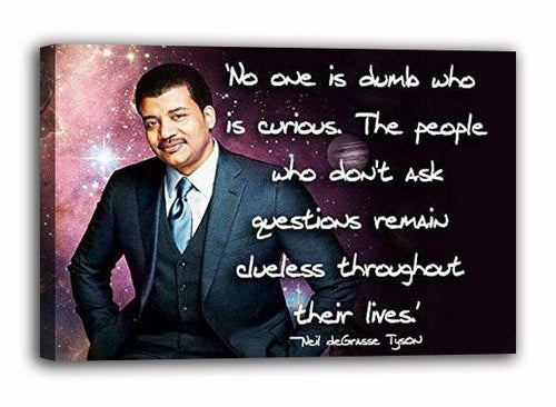 Neil de Grasse Tyson astrophysicist author and science communicator Poster (paper and canvas) art poster printing print B07BZBNLWT