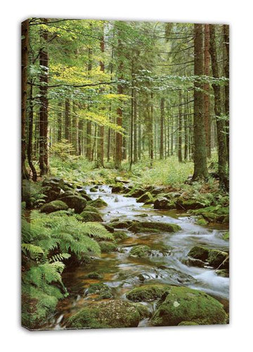 Stretched Canvas