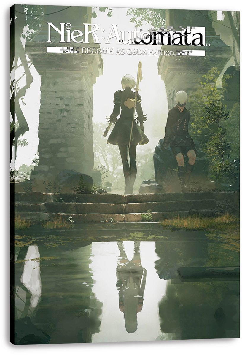 NieR: Automata 2B and 9S Decorative Painting (paper and canvas) art poster printing print
