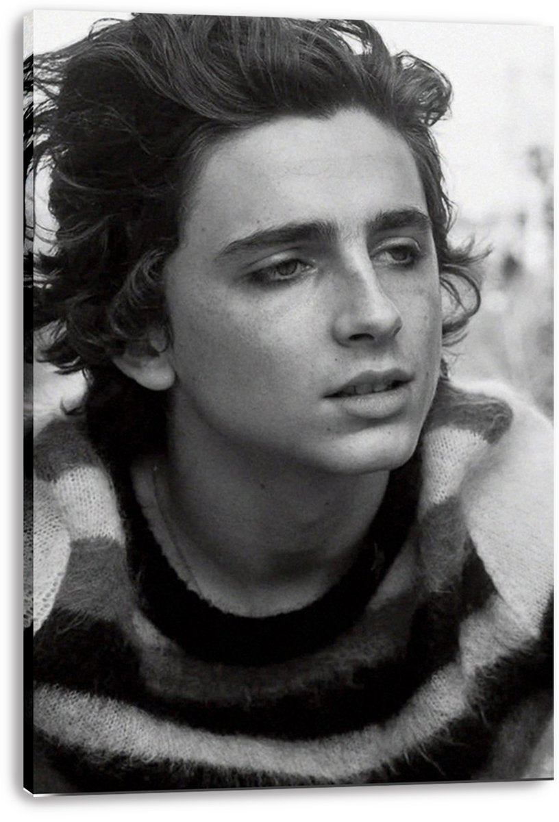 Timothée Chalamet Decorative Painting (paper and canvas) art poster printing print