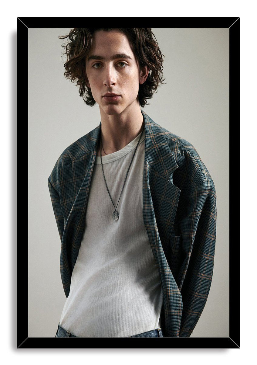 Timothée Chalamet Decorative Painting (paper and canvas) art poster printing print