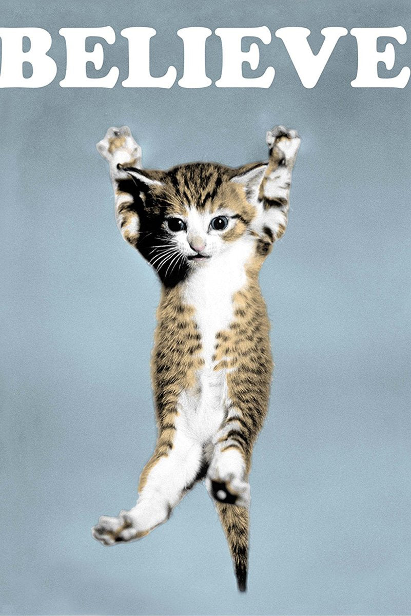 Hanging Kitten BELIEVE Decorative Painting (paper and canvas) art poster printing print