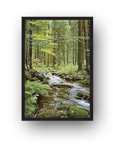 Wooden Framed Canvas