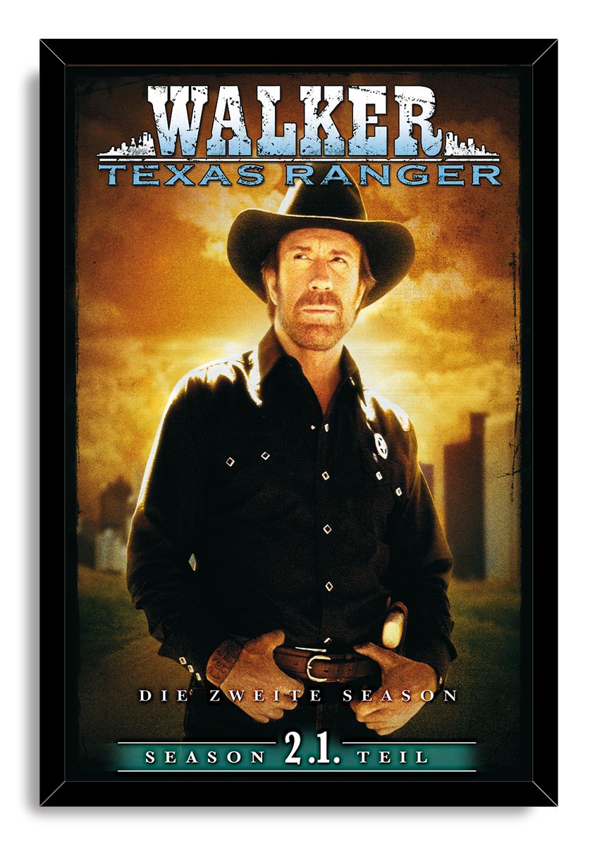 Walker, Texas Ranger Decorative Painting (paper and canvas) art poster printing print