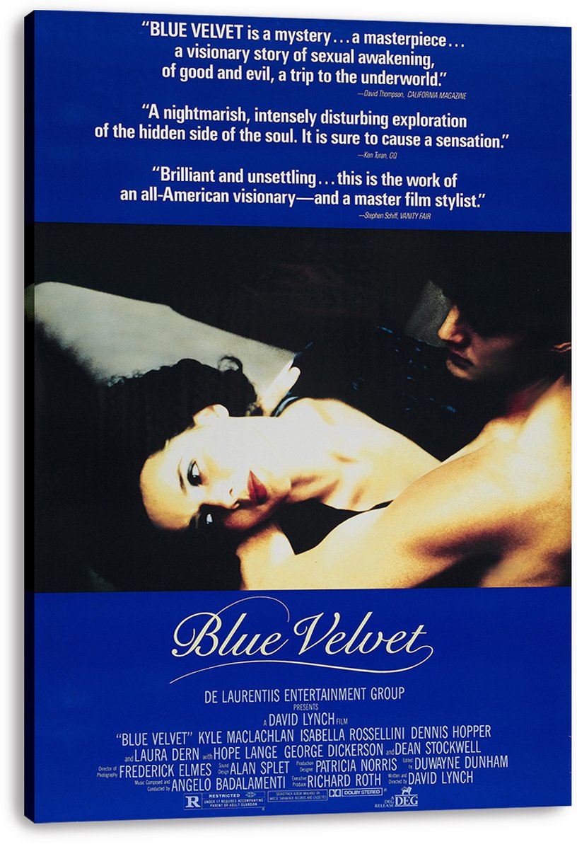 Blue Velvet Movie Poster Decorative Painting (paper and canvas) art poster printing print