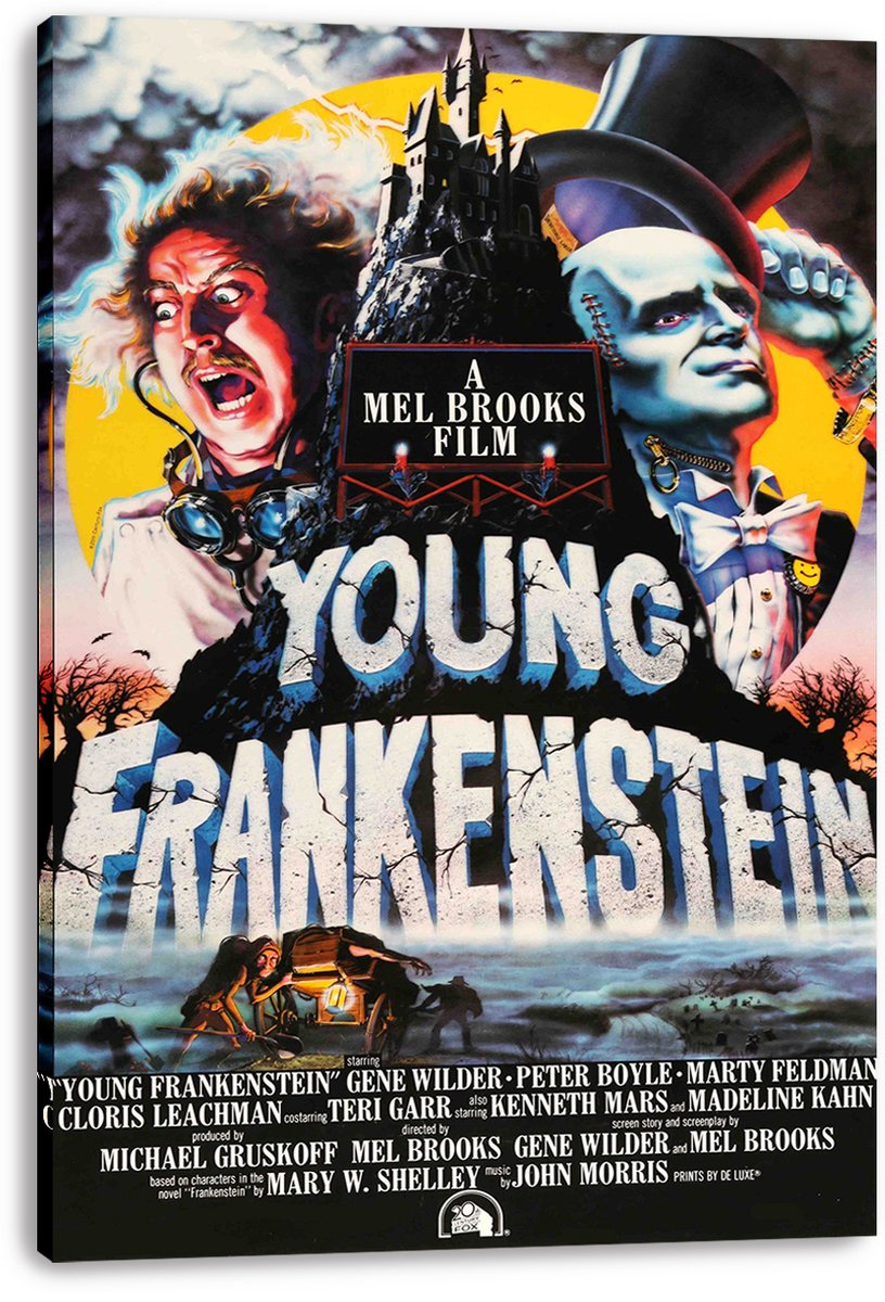 Young Frankenstein Decorative Painting (paper and canvas) art poster printing print