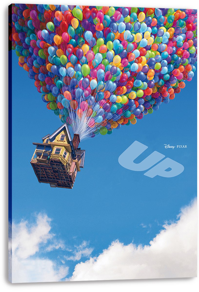 Up Movie Flying House Decorative Painting (paper and canvas) art poster printing print
