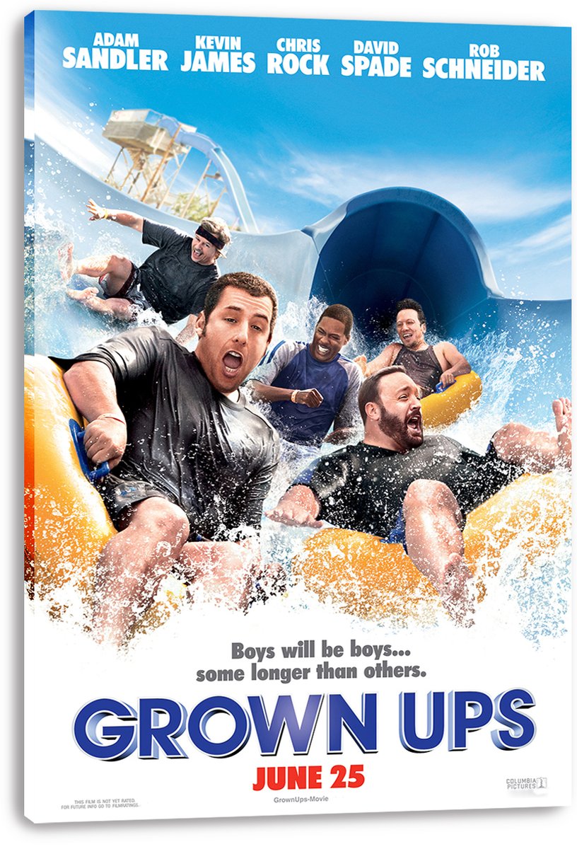 Grown Ups Movie Poster Decorative Painting (paper and canvas) art poster printing print