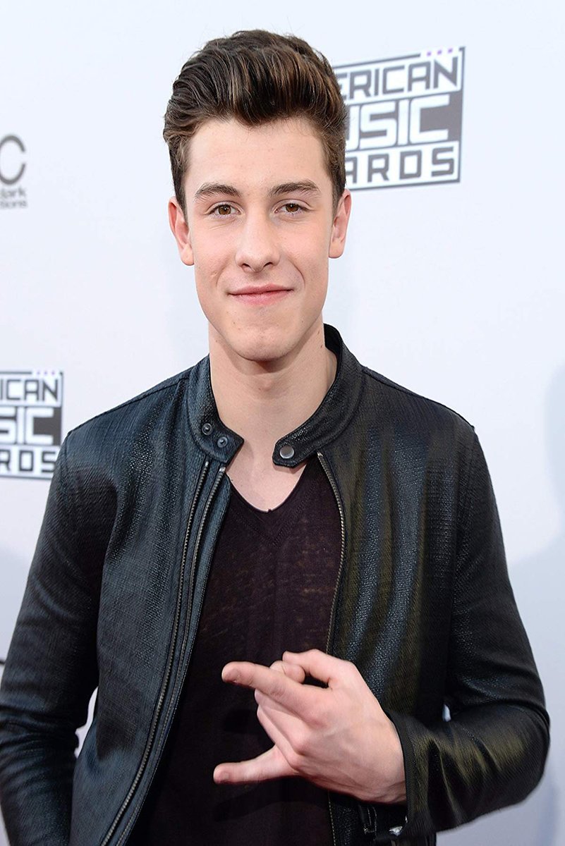Shawn Mendes Decorative Painting (paper and canvas) art poster printing print