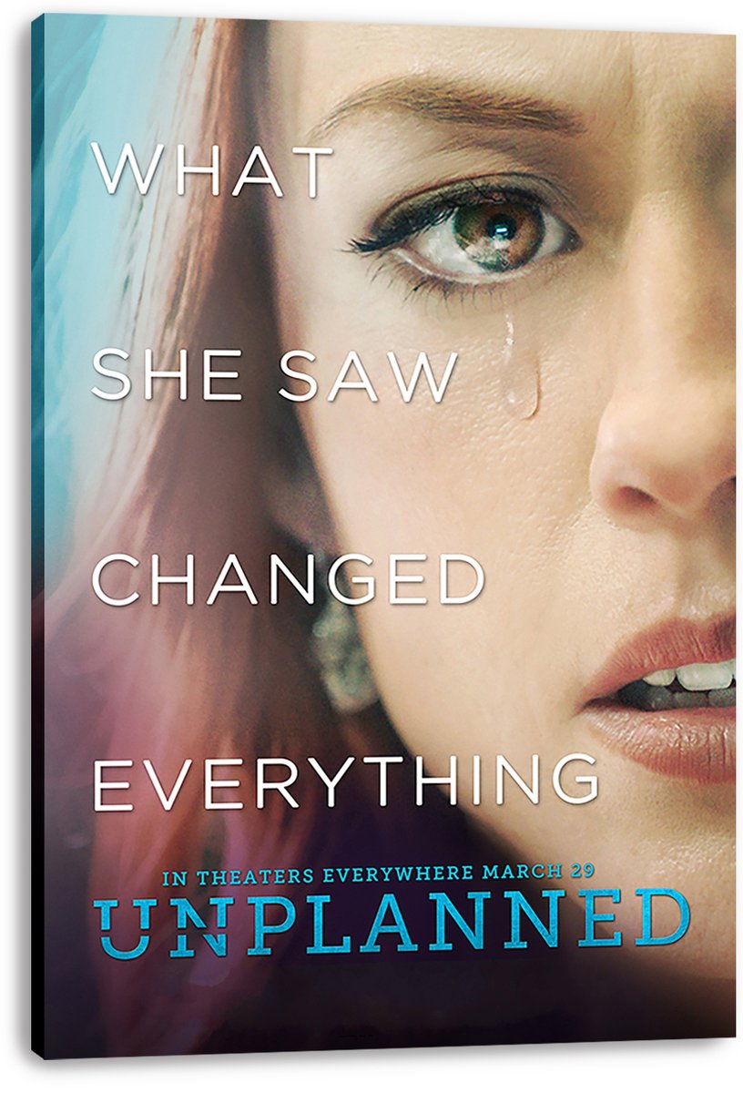 Unplanned Movie Poster Woman Emotional Decorative Painting (paper and canvas) art poster printing print