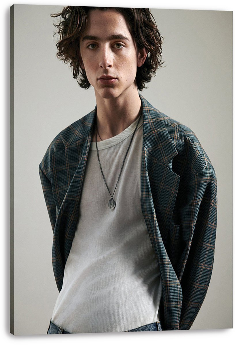 Timothée Chalamet Decorative Painting (paper and canvas) art poster printing print