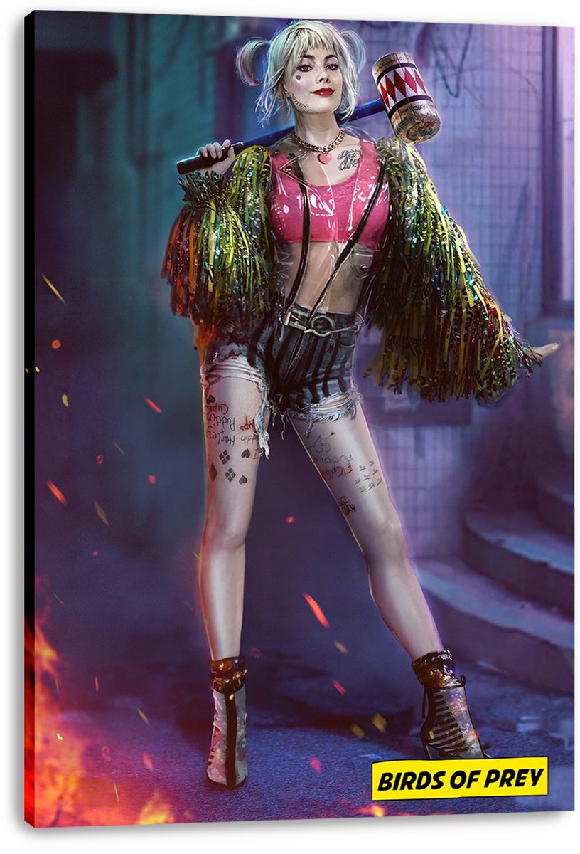 Harley Quinn from Birds of Prey Decorative Painting (paper and canvas) art poster printing print