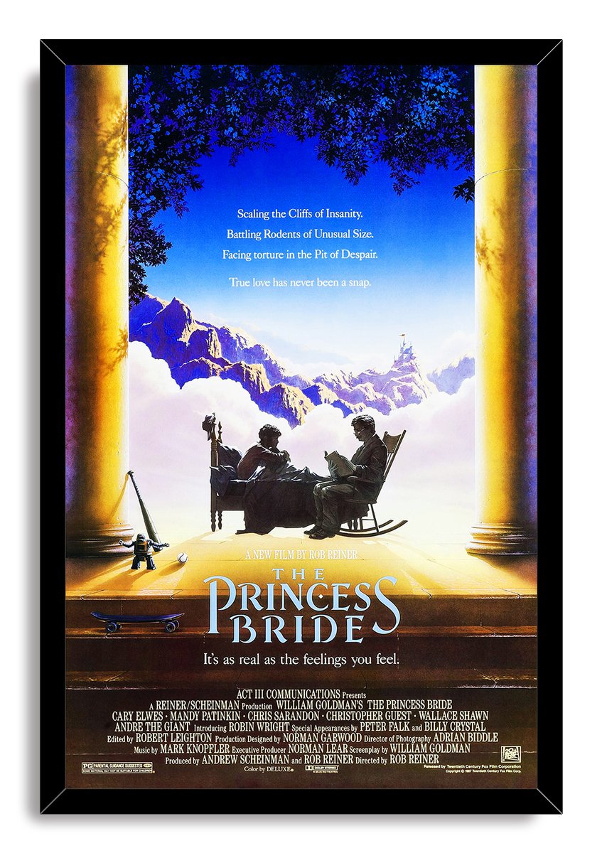 The Princess Bride Movie Poster Decorative Painting (paper and canvas) art poster printing print