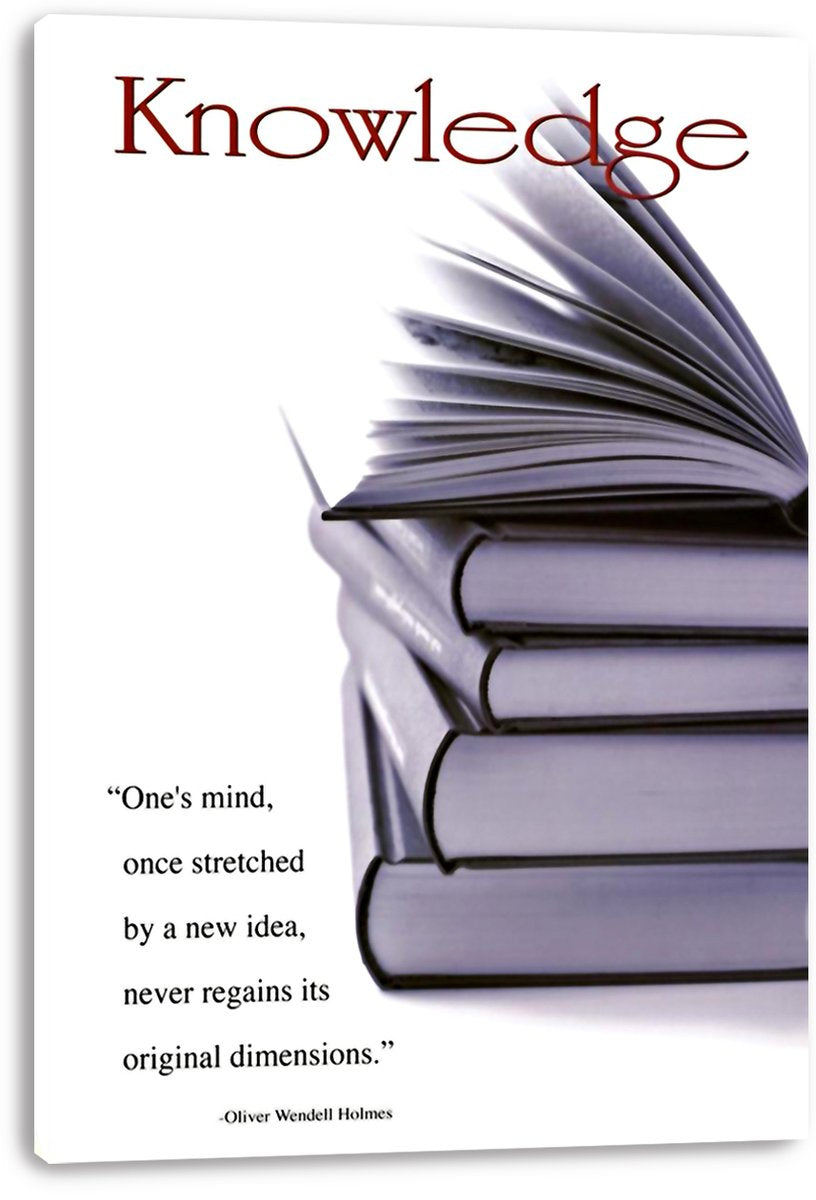 Knowledge and Wisdom Books Inspirational Quote Decorative Painting (paper and canvas) art poster printing print