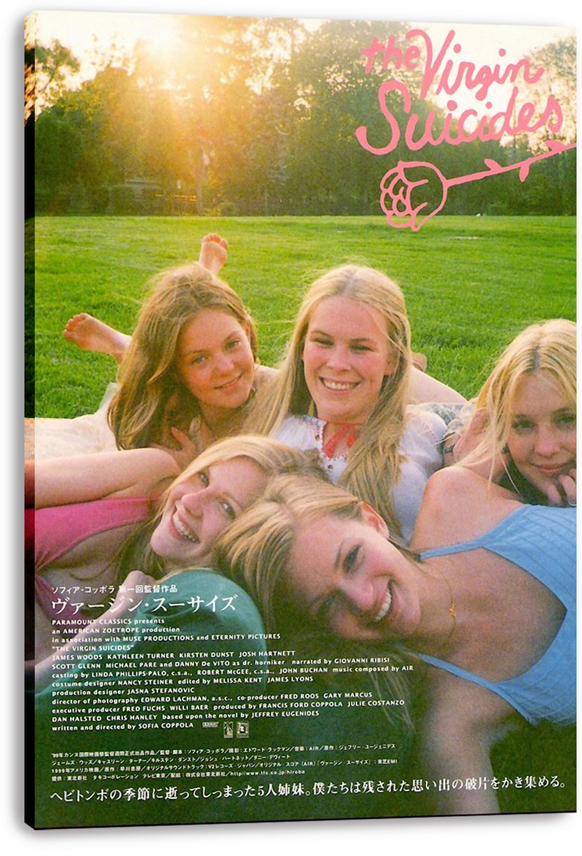 The Virgin Suicides Movie Poster Decorative Painting (paper and canvas) art poster printing print