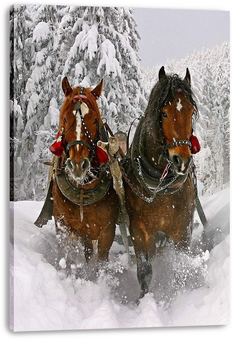 Winter Horses Sleigh Ride Decorative Painting (paper and canvas) art poster printing print