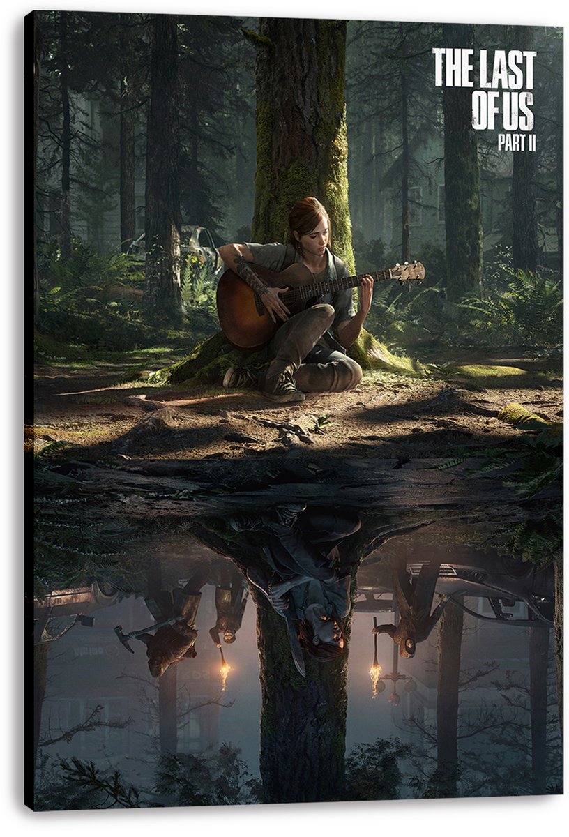 Ellie The Last of Us Part II Decorative Painting (paper and canvas) art poster printing print